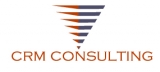  CRM Consulting  crm